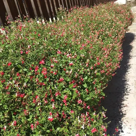 Buhardilla Con Encanto Centro Historico